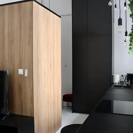 Apartment Wolczanska Lodz (Lodz)