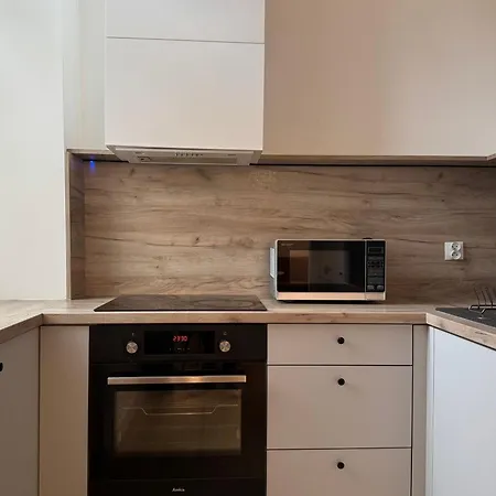 Apartment Wolczanska *